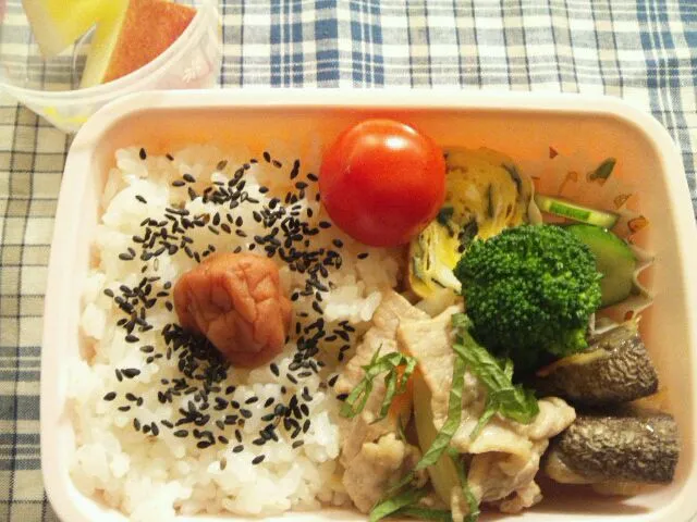 Snapdishの料理写真:2/4 お弁当|まみりんさん