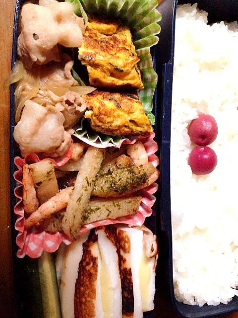 Snapdishの料理写真:旦那さんのお弁当|5児のママさん