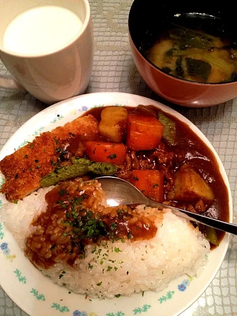 Snapdishの料理写真:🍛我が家のカレー  &   ロースカツ🍴😉|ch＊K*∀o(^^*)♪さん