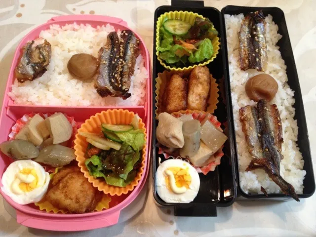 今日の夫婦お弁当|はちーさん