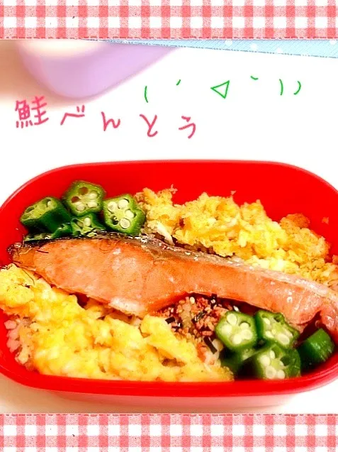 鮭と炒り卵のお弁当|Minia♥️さん