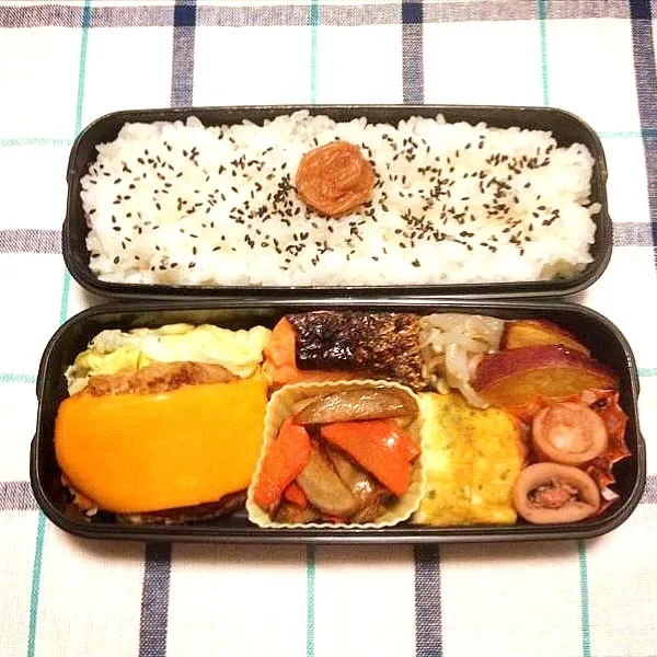 Snapdishの料理写真:いろいろ弁当|かおまるさん