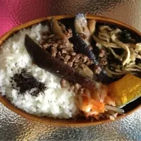 Snapdishの料理写真:麻婆茄子風弁当|ささきさん