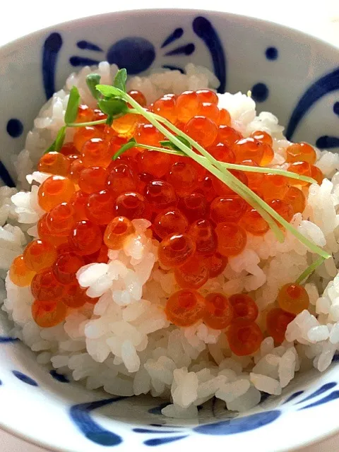 イクラ丼|ハムスターミエさん