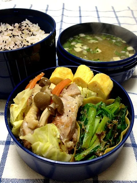 鶏肉と野菜の塩だれ炒め弁当|ぴよさん