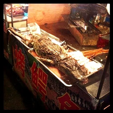 Crocodile satay meat stick|laumeikuanさん