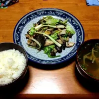 Snapdishの料理写真:ヒラタケ、椎茸、シメジ、白菜、島らっきょうのペペロンチーノ|横山さん