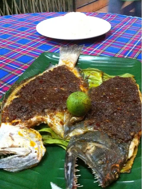 Grilled flounder with sambal|Darren Loさん