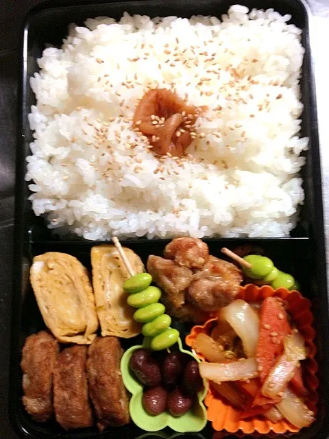 旦那弁当|ちはるんばさん