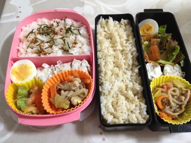 今日の夫婦お弁当|はちーさん