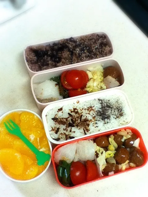 今日のJK&OL弁当。大雪で休みになると思ってたので、何も仕込んでなかったから朝慌てましたよ^^;|hoppycowさん