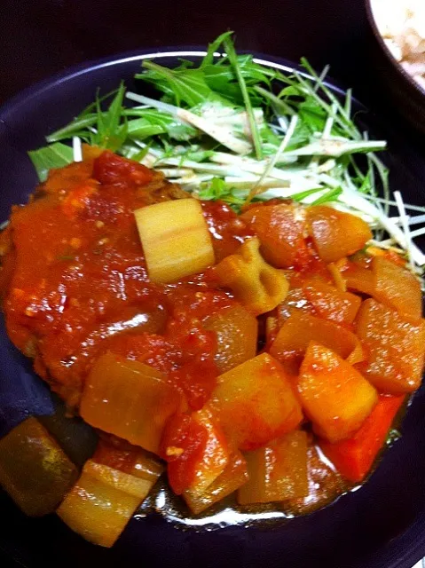 ごろごろ野菜とハンバーグのトマト煮込み|レオさん