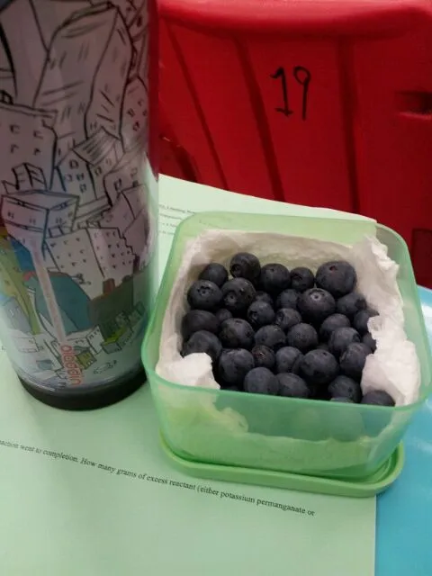 healthy snacking. green tea and blueberries|Theresa Truongさん