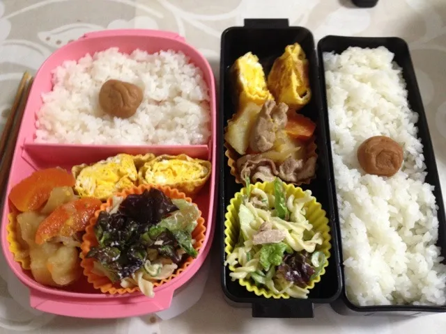 今日の夫婦お弁当|はちーさん