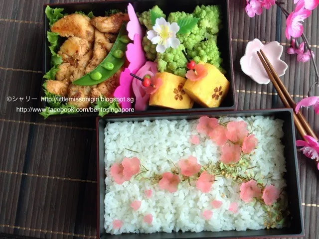 春のお弁当♡「桜の大根」|シャリーさん