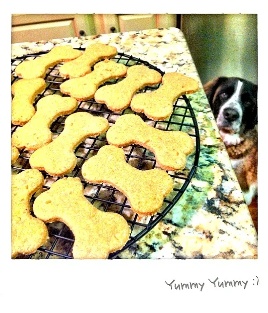 Homemade Dog Treats|Nanaさん