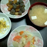 Snapdishの料理写真:鶏キャベツの味噌マヨ蒸し、大根とこんにゃくのおかか煮、豆腐とワカメのお味噌汁、ごはん|さやたんさん