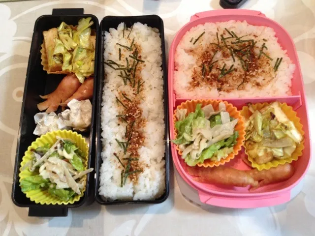 今日の夫婦お弁当|はちーさん