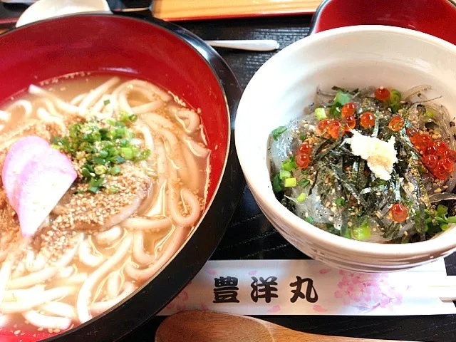 佐伯 豊洋丸 ミニ生しらす丼&胡麻だしうどん|えりさん