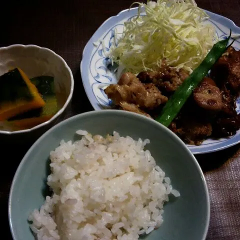 鳥の酢煮&塩麹豚|よしおさん