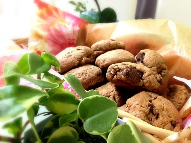 チョコinマーマレードのスコーン( ´ ▽ ` )ﾉ💗|Sasaさん