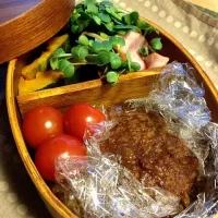 Snapdishの料理写真:お昼のお弁当|NAOKOさん