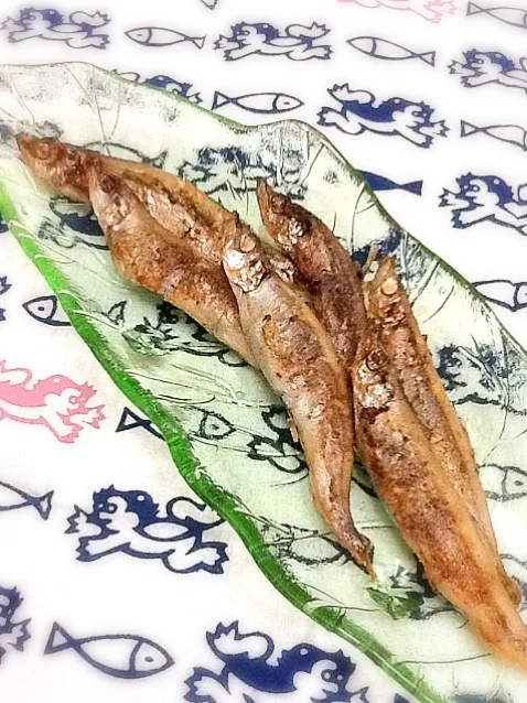 焼きししゃもฅ ̳͒•ˑ̫• ̳͒ฅ♡🐟|さとう かおりさん