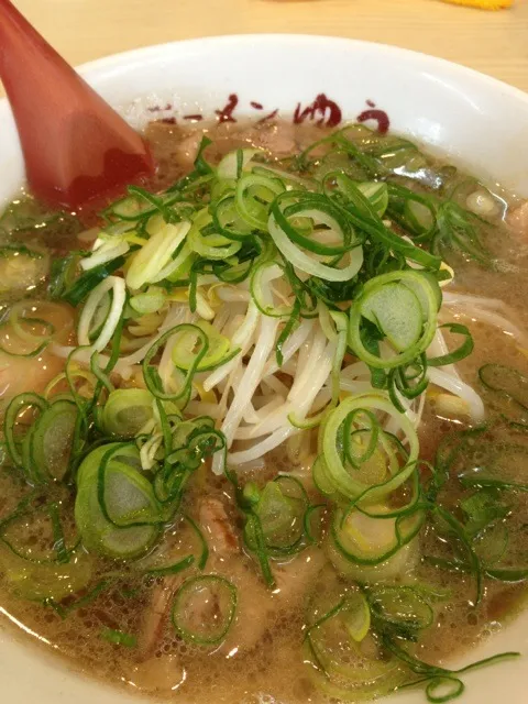 Snapdishの料理写真:しょうゆラーメン|やんりゅうさん