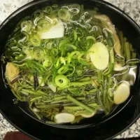 Snapdishの料理写真:山菜うどん|karariさん