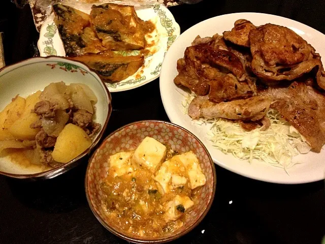 鯖味噌煮 肉じゃが 麻婆豆腐 生姜焼き|969さん