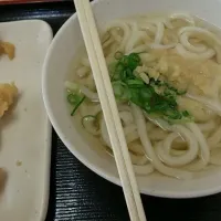 Snapdishの料理写真:かけうどん|あかねかねさん