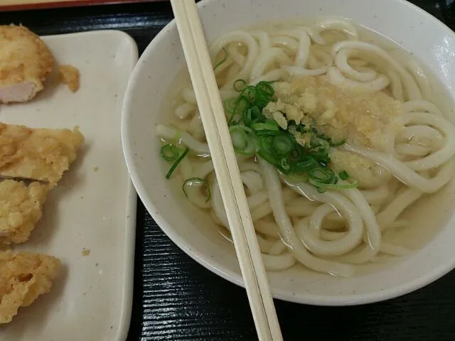 かけうどん|あかねかねさん