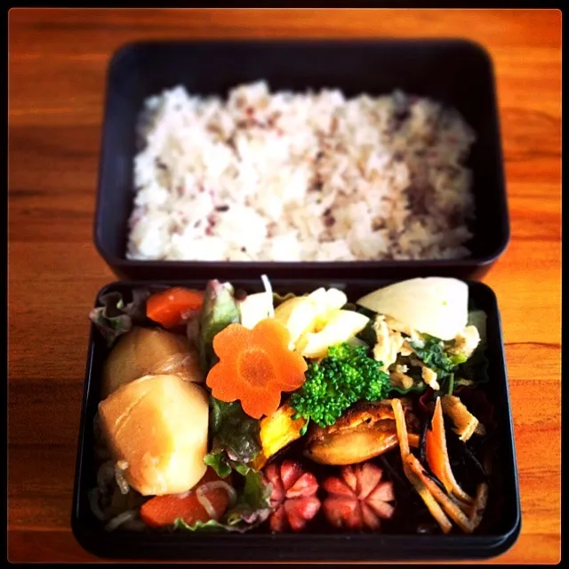 Snapdishの料理写真:肉じゃが弁当|maiさん