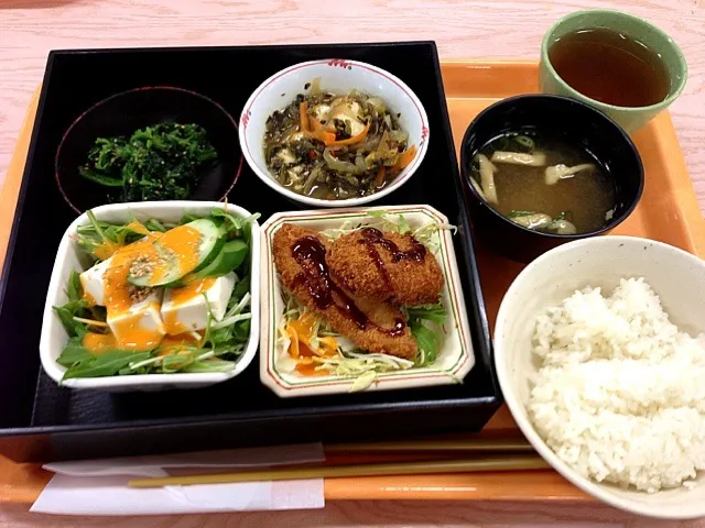 ピーマンの肉詰めと白身魚フライ、厚揚げと高菜の炒め、水菜と豆腐のサラダ、ホウレンソウ|すかラインさん