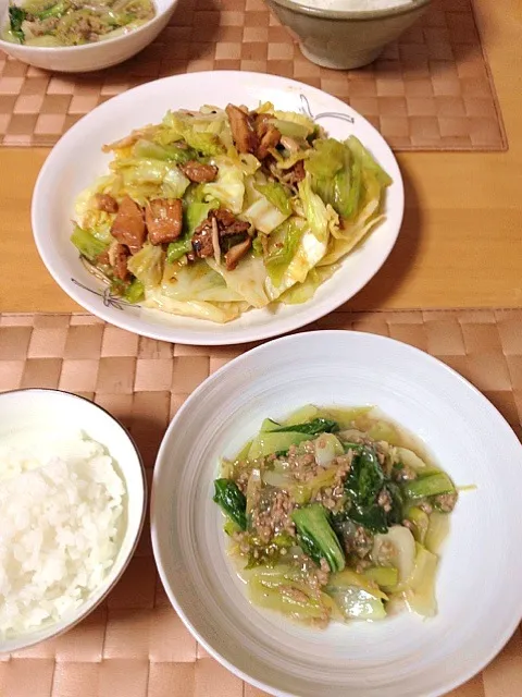 キャベツとネギとチキンの炒め物&青梗菜のそぼろ煮|ふぅさんのママさん