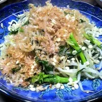 もやし、にら、葉の花（青菜ならなんでも）を炒めて、ウェイパー、塩、醤油で味付け。仕上げに花鰹、ゴマ、天かすをトッピング！|花子さん