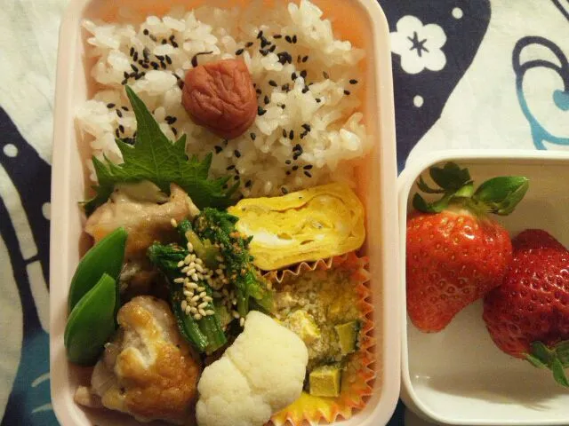 Snapdishの料理写真:2/13 お弁当|まみりんさん