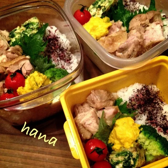 ＊鶏さん弁当…久々弁当写真やん♪|はなさん