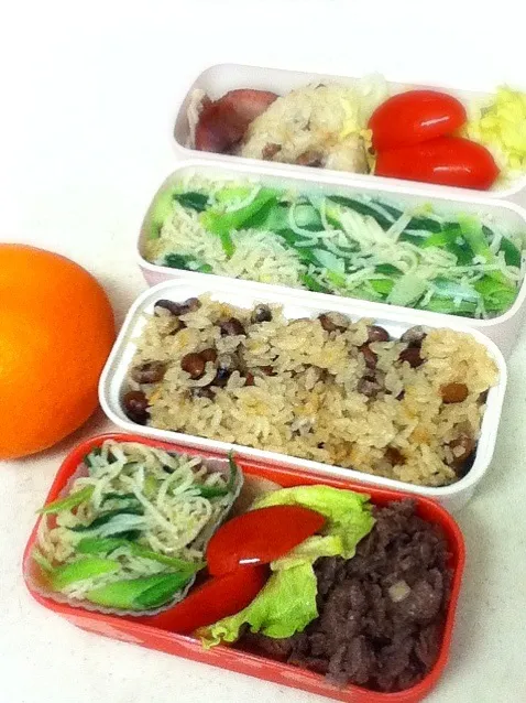 今日のJK&OL弁当はイチボ焼肉♪   Today's lunch box.|hoppycowさん