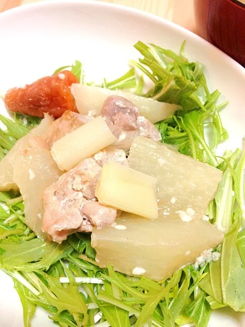 Snapdishの料理写真:鶏肉と大根の塩麹煮込み|myuさん