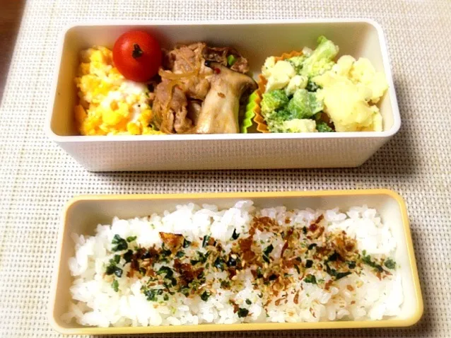 本日のお弁当|satchさん