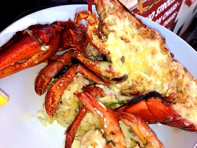 Stuffed Lobster|Carmela Solon P.さん