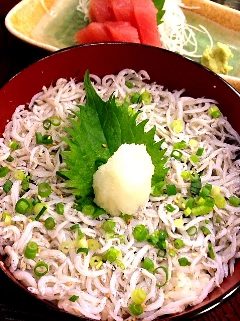 しらす丼|ランチ食べ歩きさん