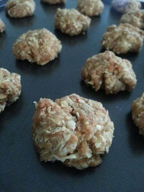 Coconut & Oats Cookies|Mrs BNazさん