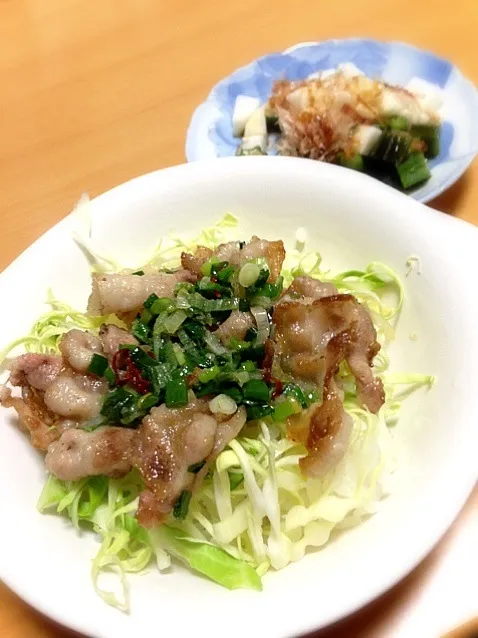 ネギ塩豚丼|★☻★さん