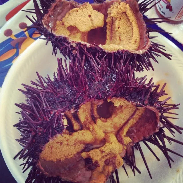 Uni from farmers market in San Diego ca so fresh!|christina marie 😋🍷🐼💋💚さん