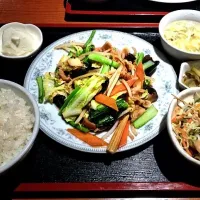 Snapdishの料理写真:豚肉の野菜炒め|じゅにあさん