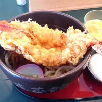 エビ天うどん＠鹿児島|ぽンさん