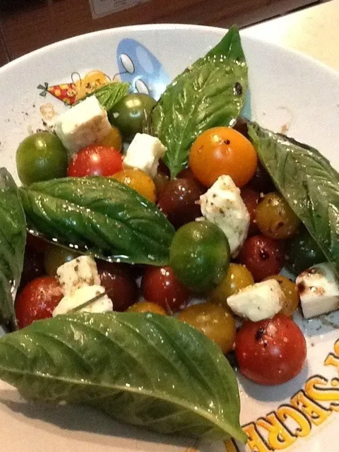 Fancy tomato salad with goat cheese and basil|yui-watchcatさん