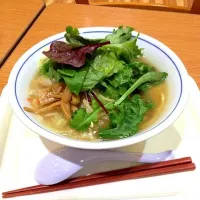 塩ラーメン。出てきたのがサラダラーメンでちょっとびっくり。|yamadataroさん